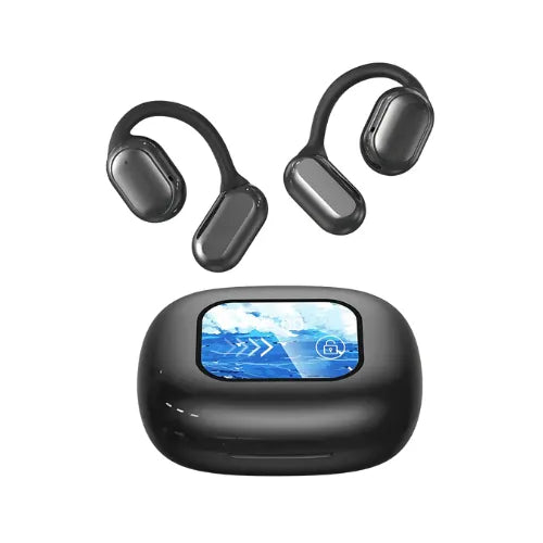 Translator Earbuds